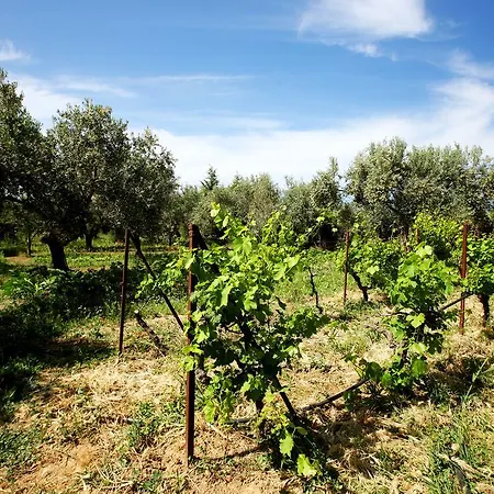 Eleni Country house Marathon (Attica)